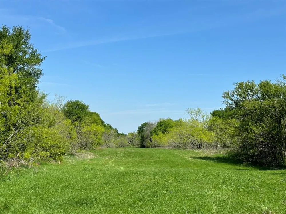 SE CR 1240 Streetman, TX 75859