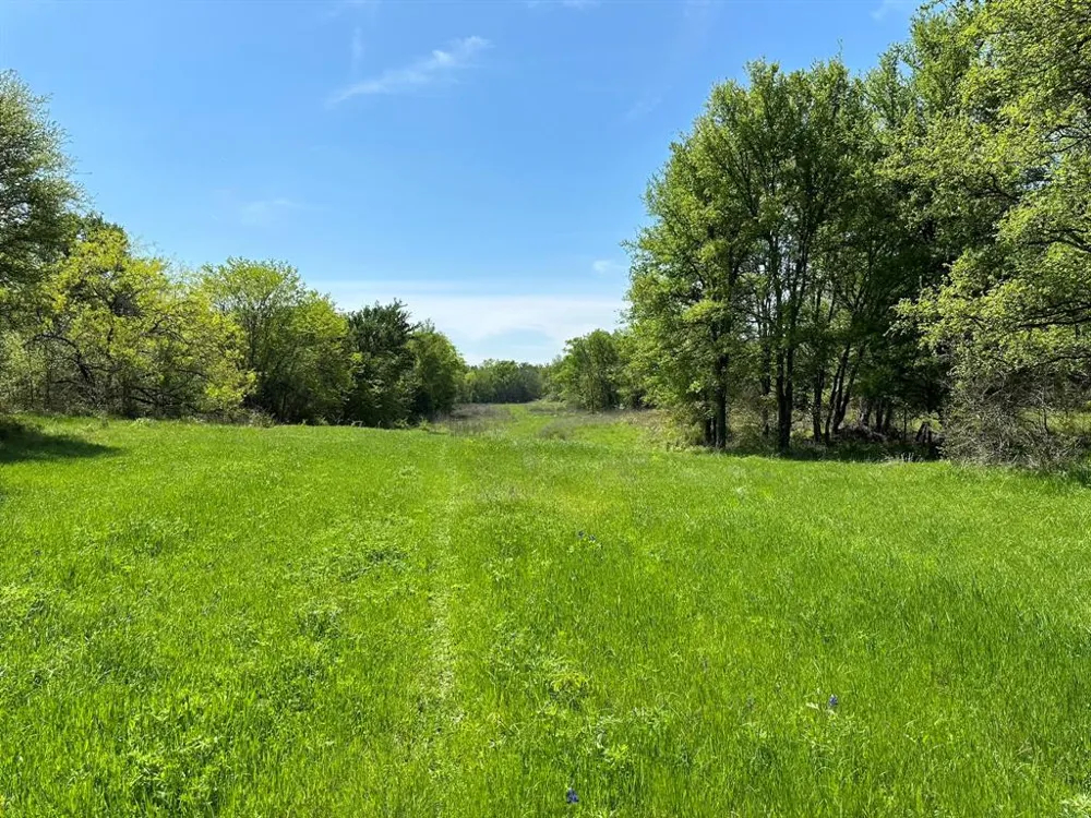 SE CR 1240 Streetman, TX 75859