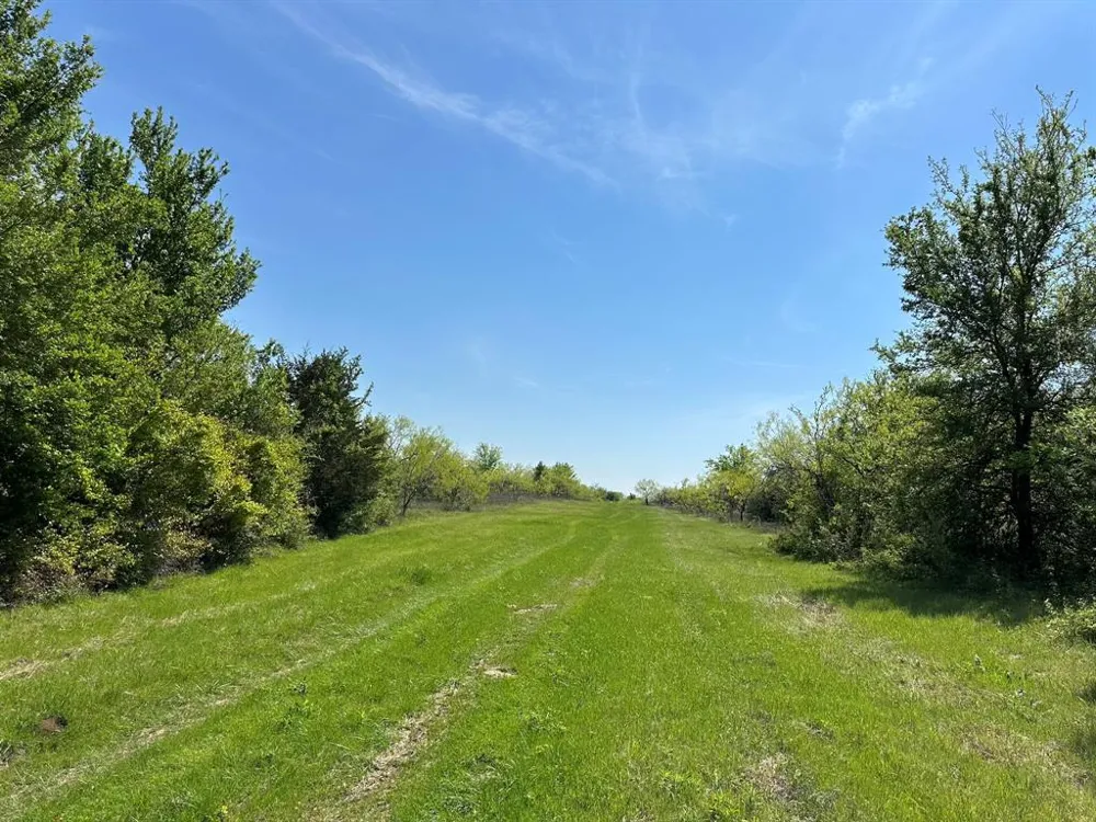 SE CR 1240 Streetman, TX 75859
