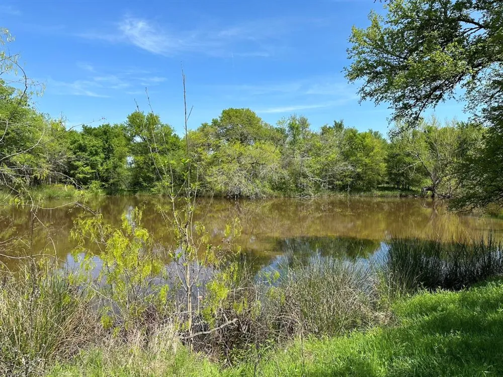 SE CR 1240 Streetman, TX 75859