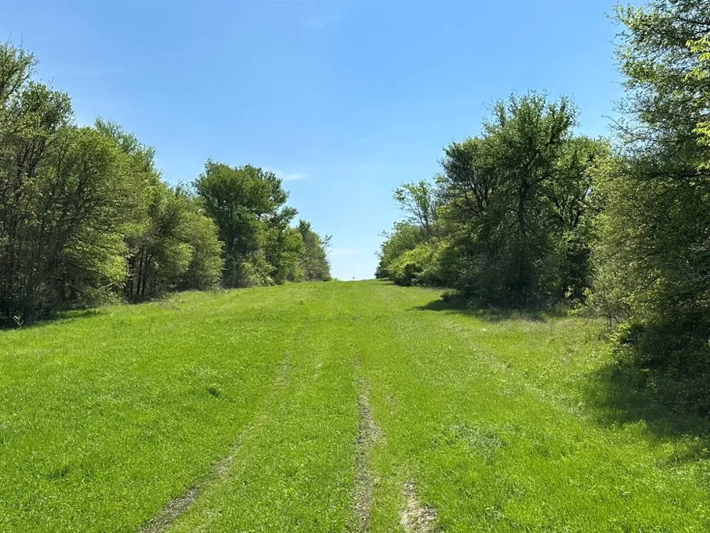 SE CR 1240 Streetman, TX 75859