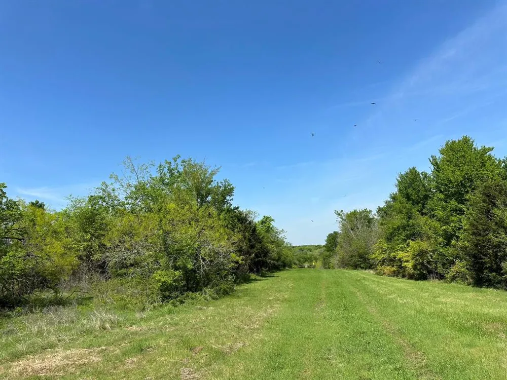 SE CR 1240 Streetman, TX 75859