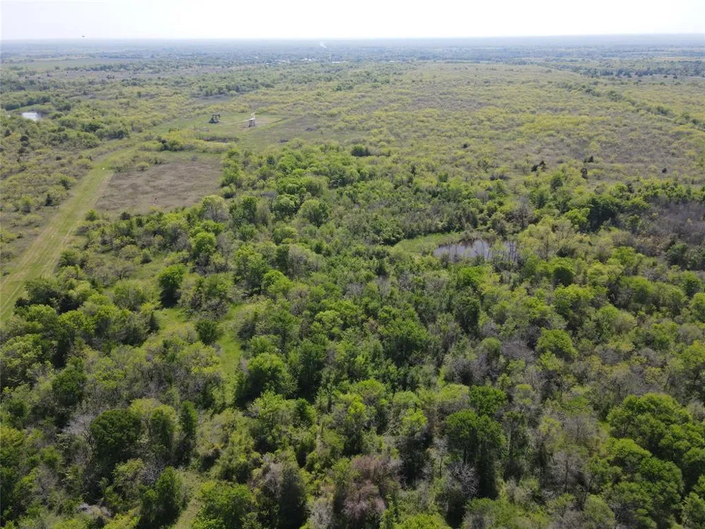 SE CR 1240 Streetman, TX 75859