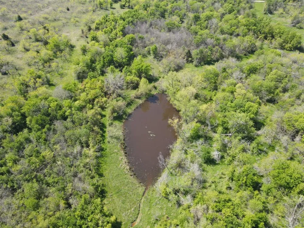 SE CR 1240 Streetman, TX 75859