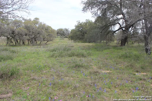 818 Encino Way Natalia, TX 78059