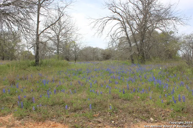 818 Encino Way Natalia, TX 78059