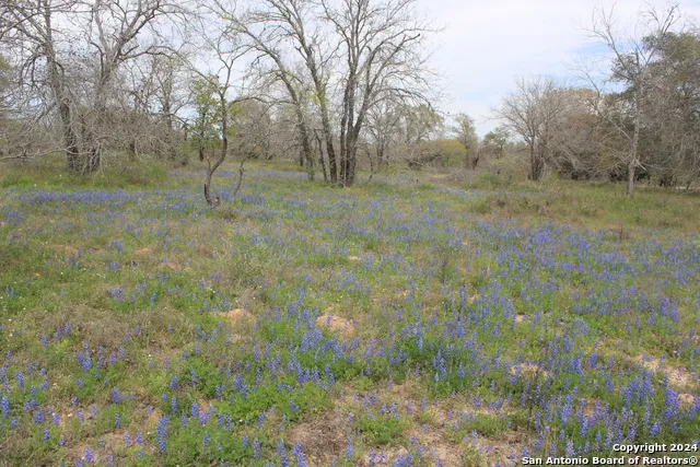 818 Encino Way Natalia, TX 78059