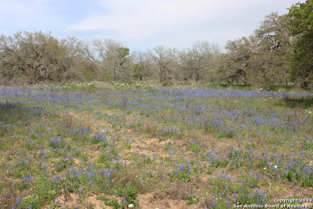 818 Encino Way Natalia, TX 78059