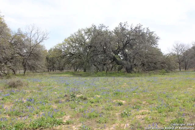 818 Encino Way Natalia, TX 78059