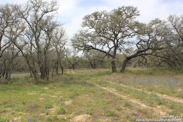 818 Encino Way Natalia, TX 78059