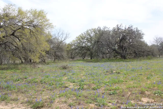818 Encino Way Natalia, TX 78059