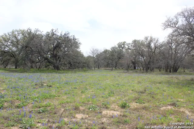 818 Encino Way Natalia, TX 78059
