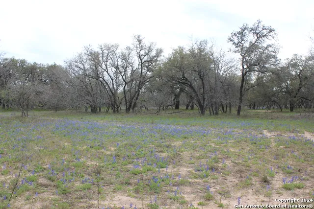 818 Encino Way Natalia, TX 78059