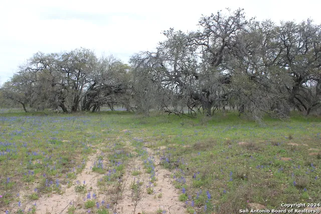 818 Encino Way Natalia, TX 78059