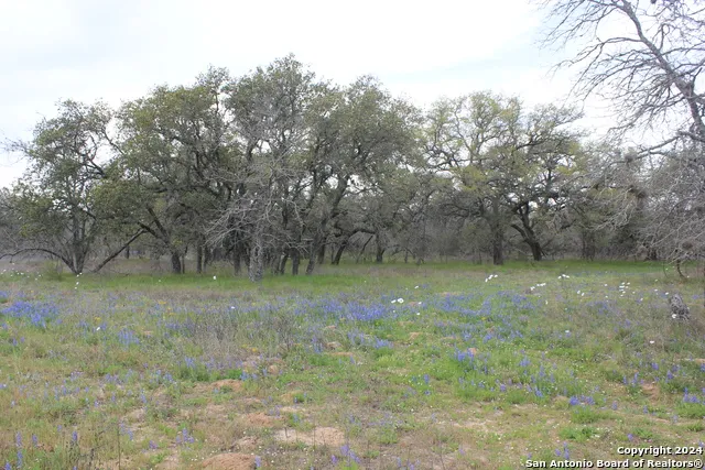 818 Encino Way Natalia, TX 78059