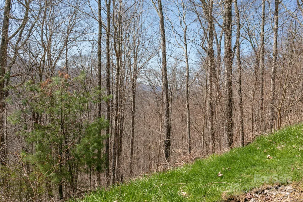 LOT 13 Austin Mountain Drive #13/3 Burnsville, NC 21714