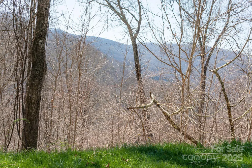 LOT 13 Austin Mountain Drive #13/3 Burnsville, NC 21714