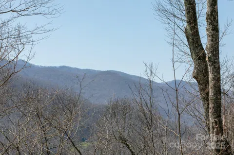 LOT 13 Austin Mountain Drive #13/3
