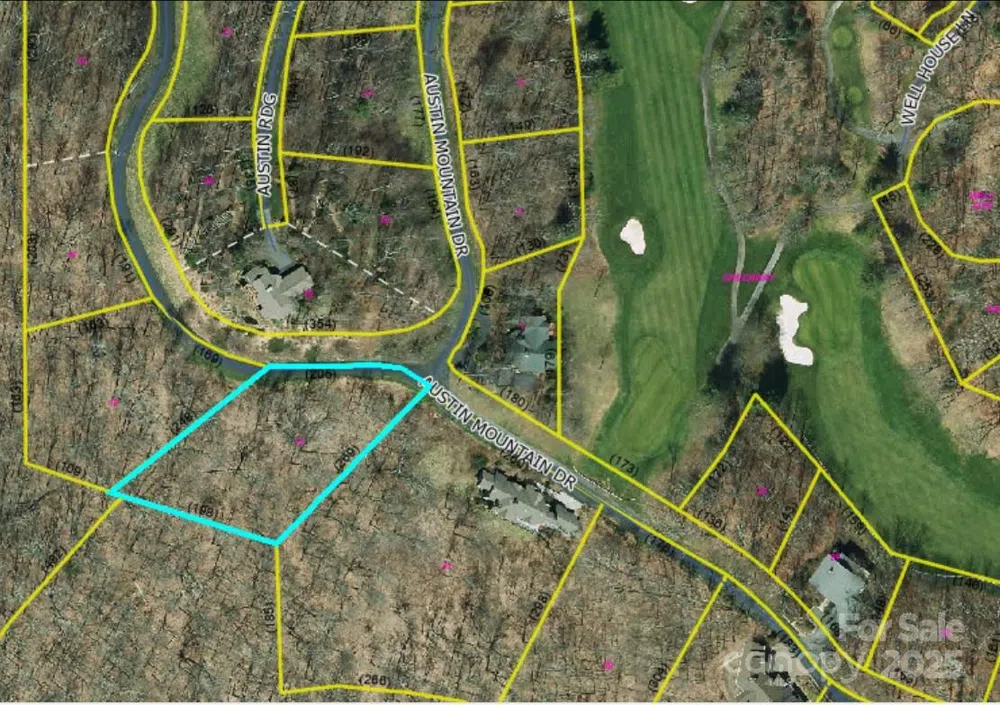 LOT 13 Austin Mountain Drive #13/3 Burnsville, NC 21714