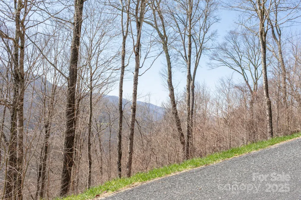 LOT 13 Austin Mountain Drive #13/3 Burnsville, NC 21714