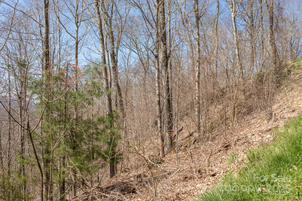 LOT 13 Austin Mountain Drive #13/3 Burnsville, NC 21714