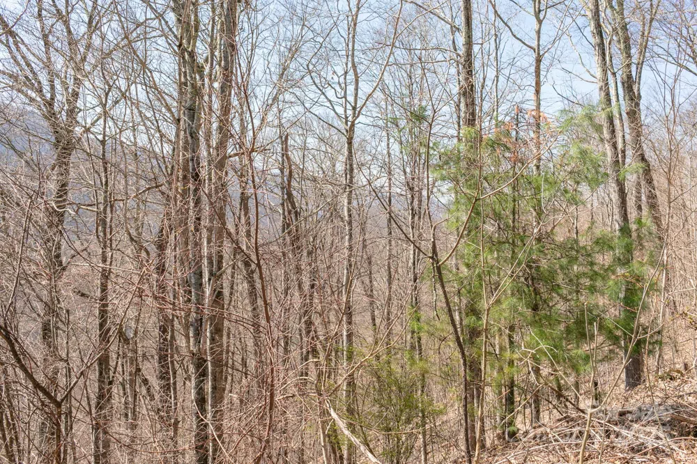 LOT 13 Austin Mountain Drive #13/3 Burnsville, NC 21714
