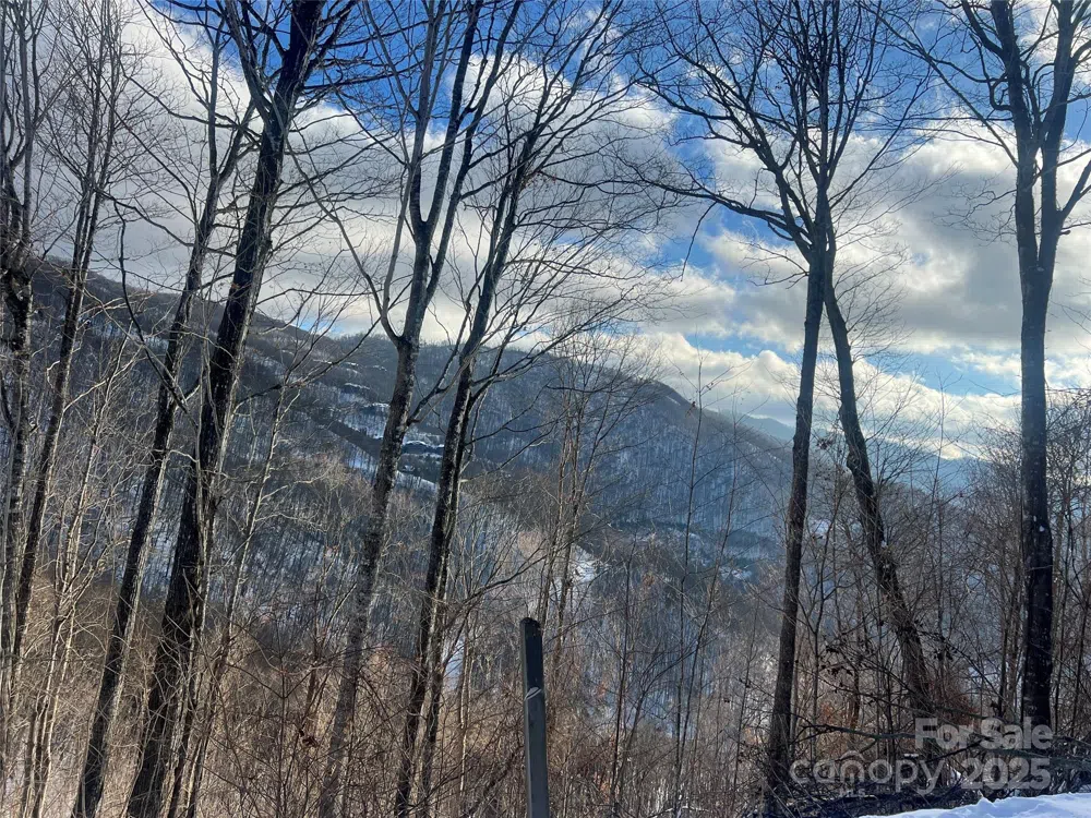 LOT 13 Austin Mountain Drive #13/3 Burnsville, NC 21714