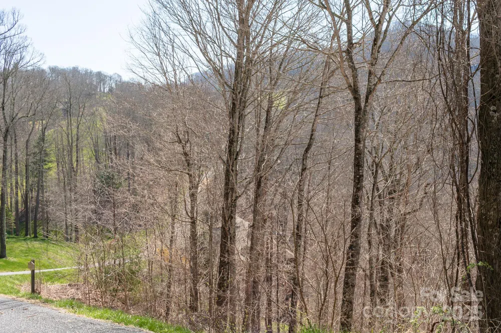 LOT 13 Austin Mountain Drive #13/3 Burnsville, NC 21714