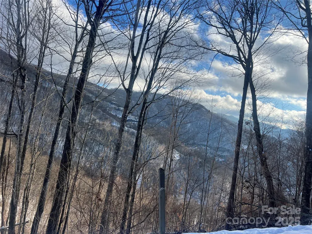 LOT 13 Austin Mountain Drive #13/3 Burnsville, NC 21714