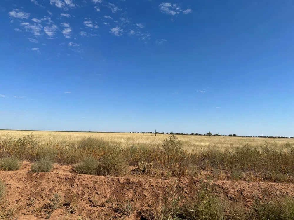 County Road 5400 New Deal, TX 