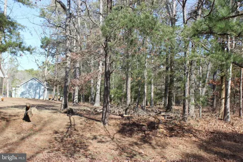 85 BARRACUDA COURT