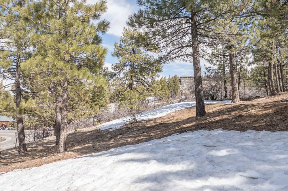 791 Talmadge Road Big Bear, CA 92315