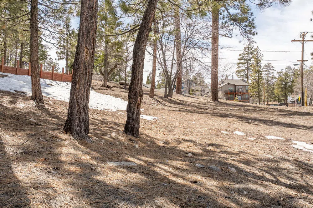 791 Talmadge Road Big Bear, CA 92315
