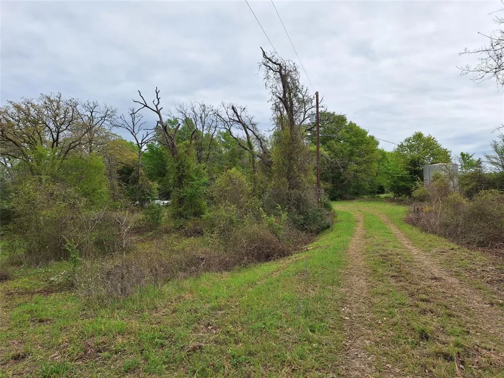 Fm-3371 Path Thornton, TX 76687