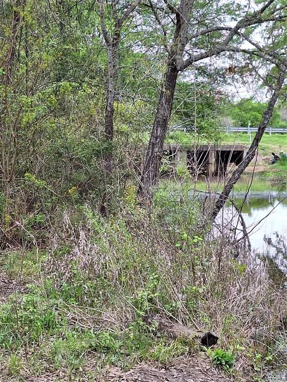Fm-3371 Path Thornton, TX 76687
