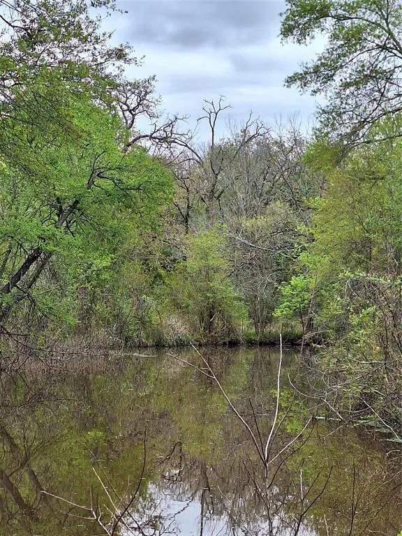 Fm-3371 Path Thornton, TX 76687