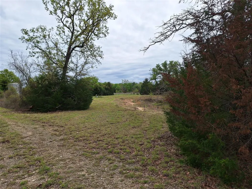 Fm-3371 Path Thornton, TX 76687