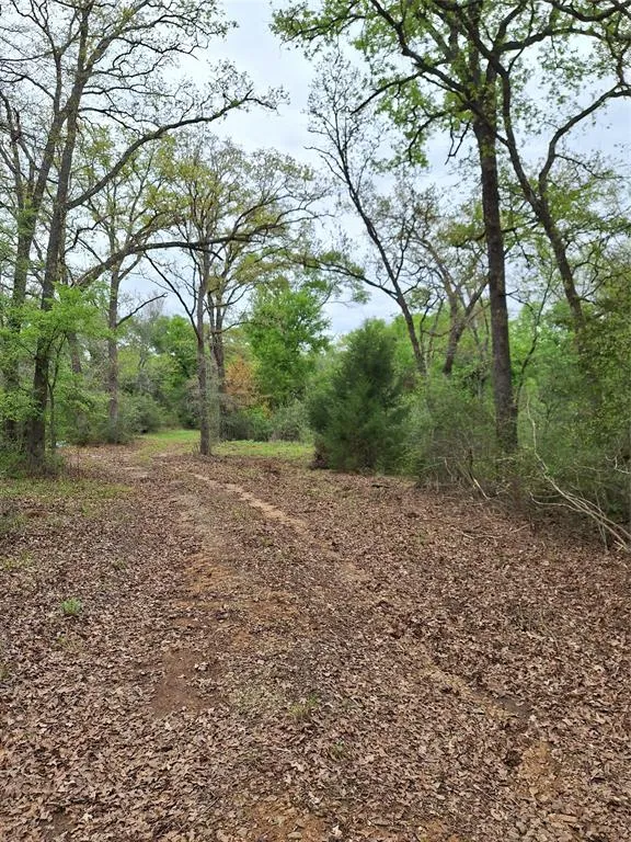 Fm-3371 Path Thornton, TX 76687