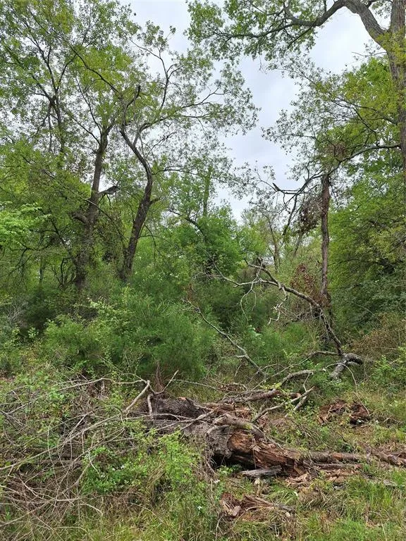 Fm-3371 Path Thornton, TX 76687