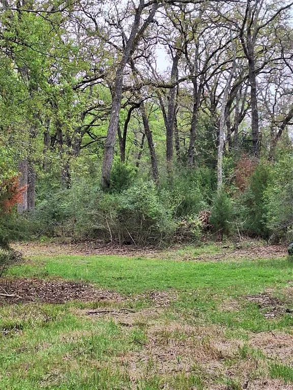 Fm-3371 Path Thornton, TX 76687