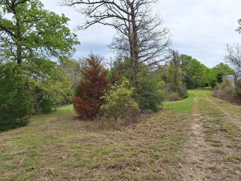 Fm-3371 Path Thornton, TX 76687