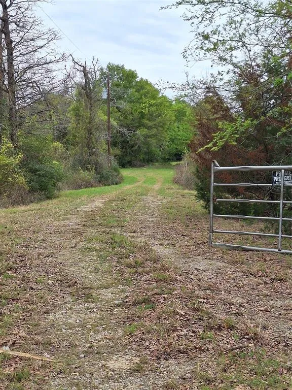 Fm-3371 Path Thornton, TX 76687