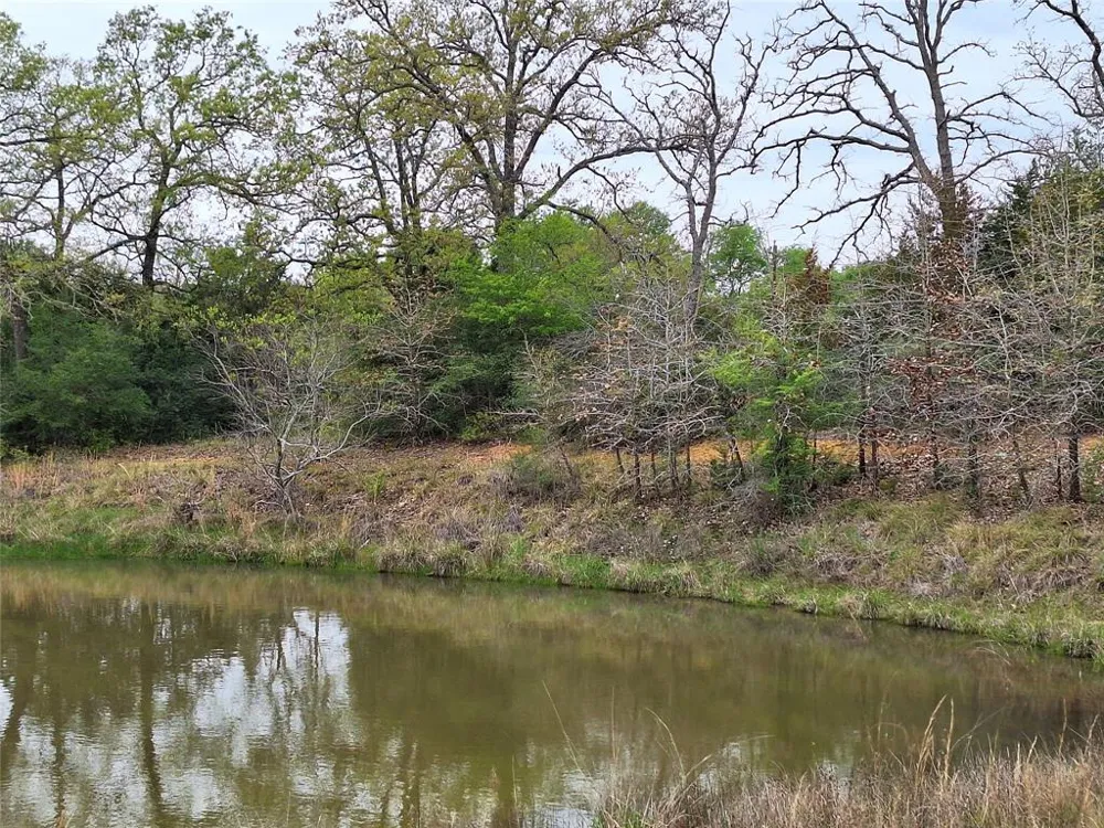 Fm-3371 Path Thornton, TX 76687