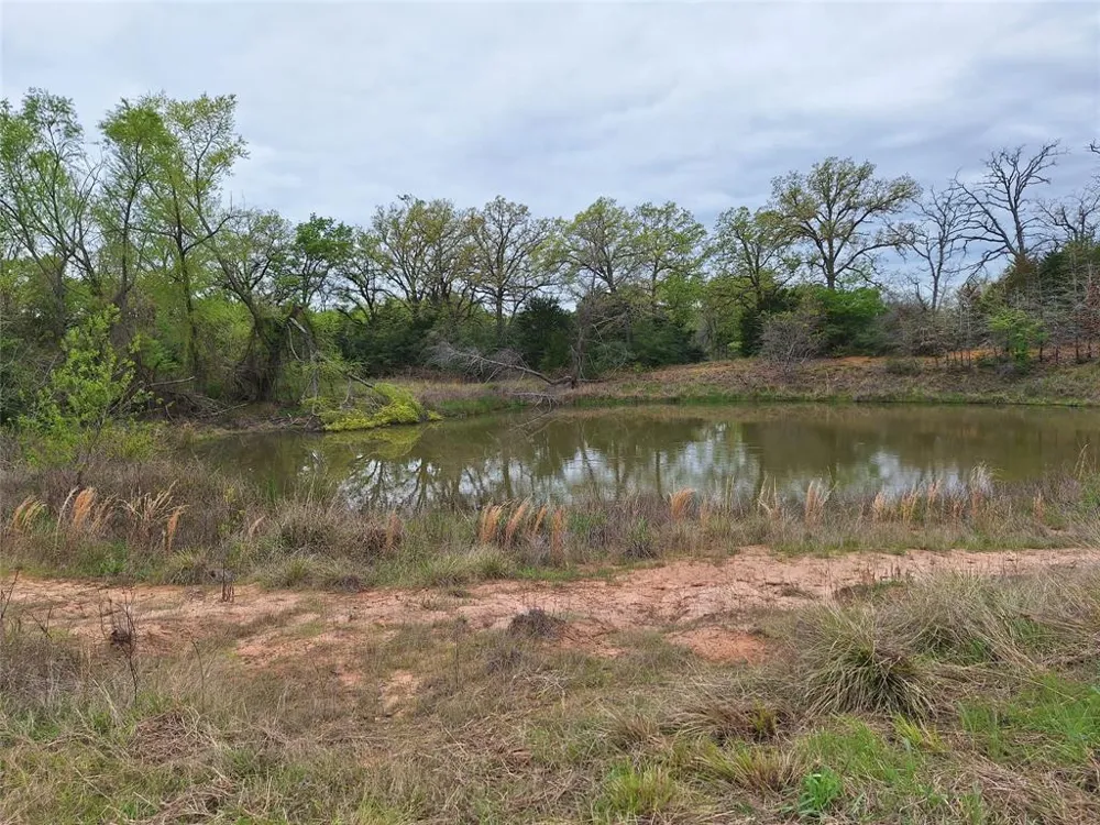 Fm-3371 Path Thornton, TX 76687