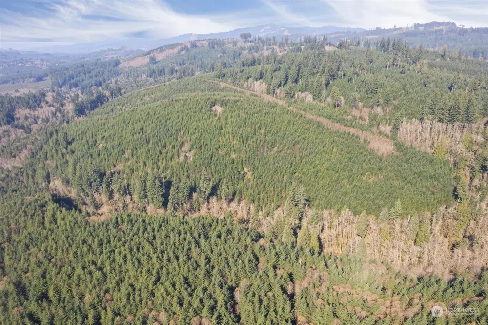 0 Cedar Mist Road Amboy, WA 98601