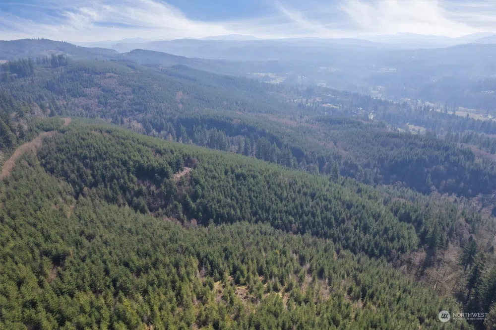 0 Cedar Mist Road Amboy, WA 98601