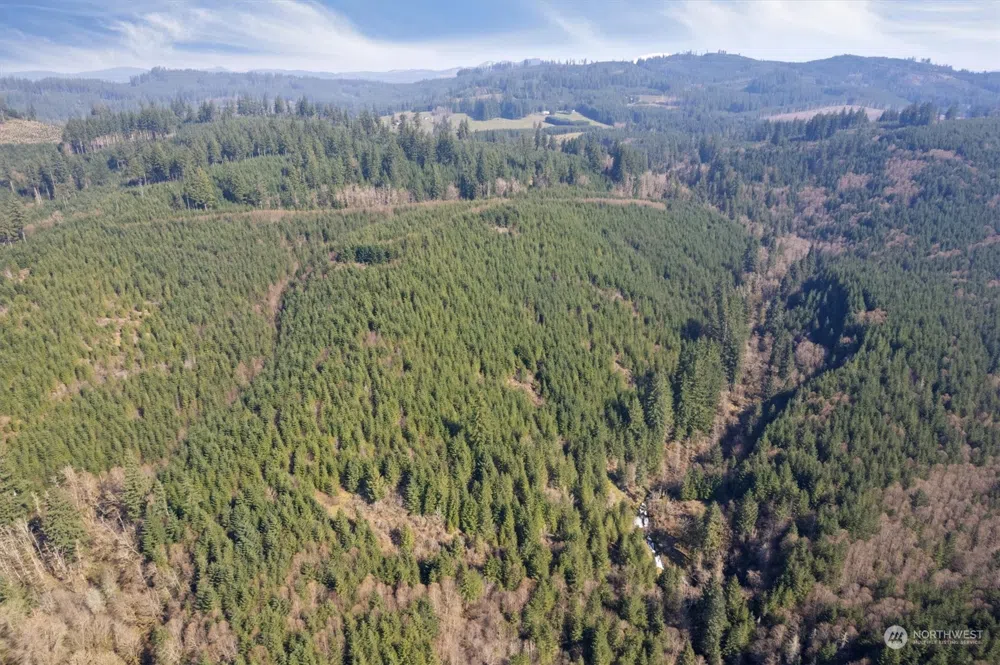 0 Cedar Mist Road Amboy, WA 98601