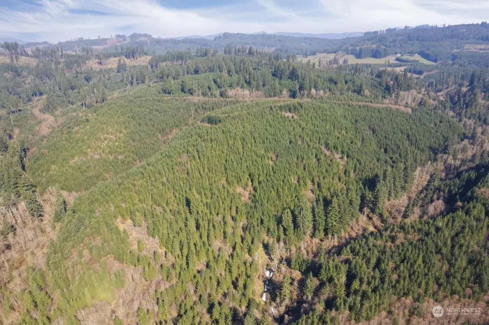 0 Cedar Mist Road Amboy, WA 98601