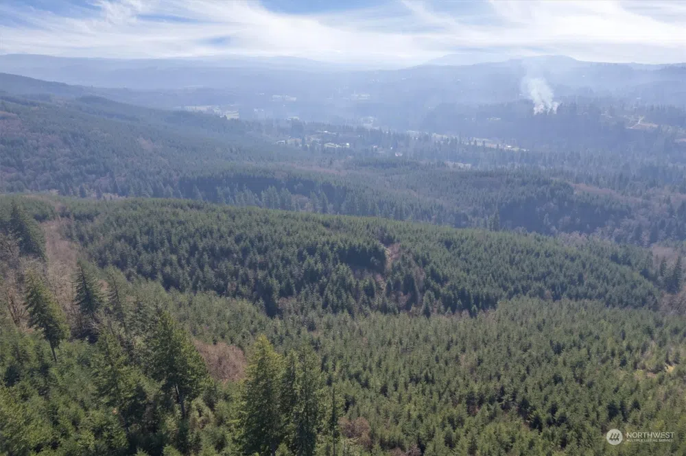 0 Cedar Mist Road Amboy, WA 98601