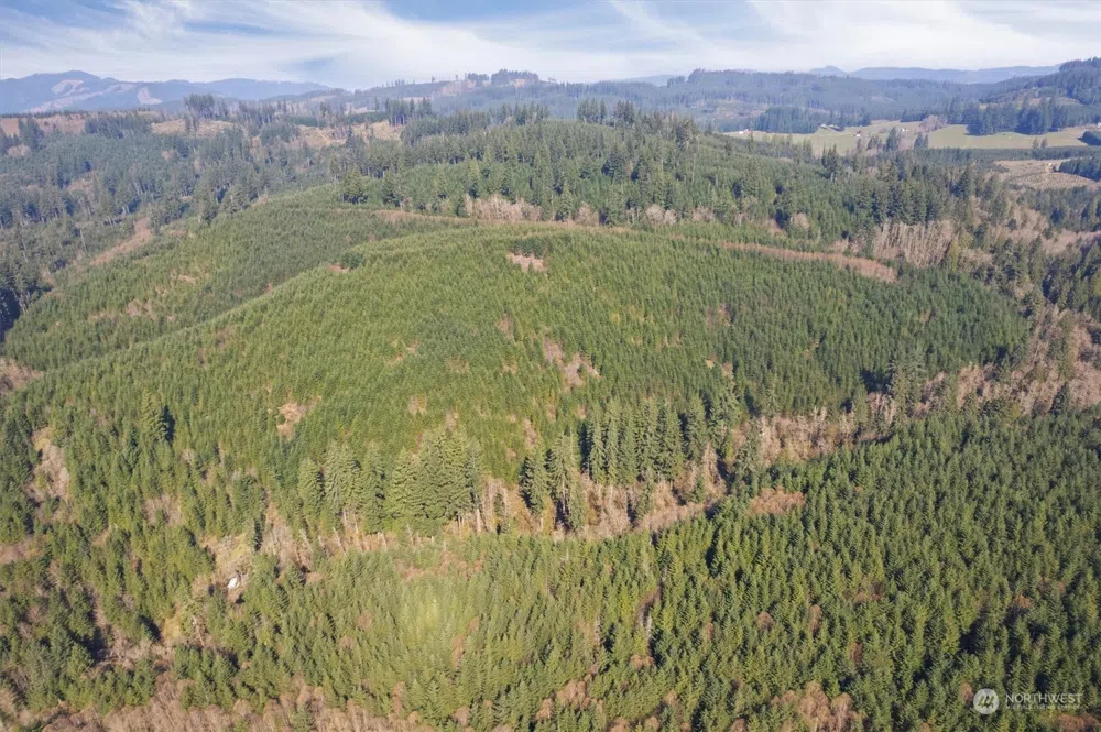 0 Cedar Mist Road Amboy, WA 98601